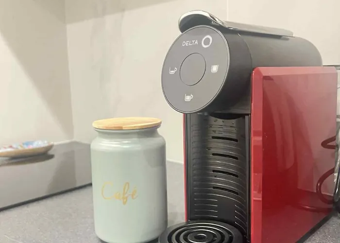 Oasis & Charme Au Coeur *