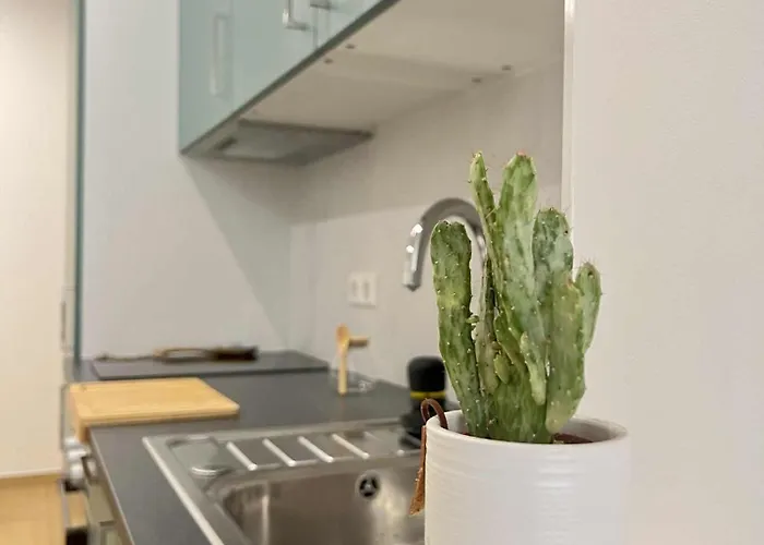 Oasis & Charme Au Coeur *